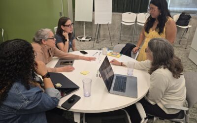 UDL4CS-2 and the National Science Foundation